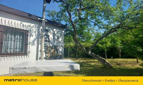 Działka ROD Poznań murowany domek i super ogród