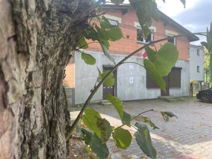 Dom punkt usługowy, doskonały dojazd 