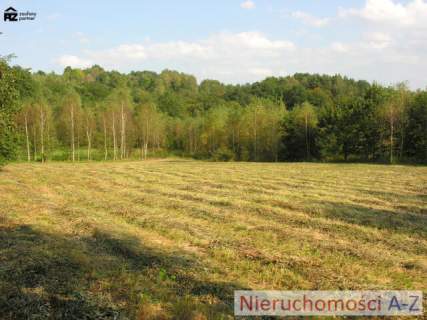 działka wśród zieleni i lasów