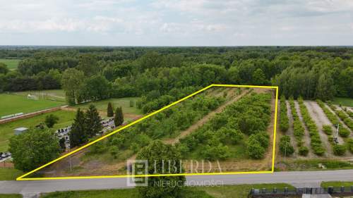 Działka na sprzedaż - Ludwin - 8600 m2