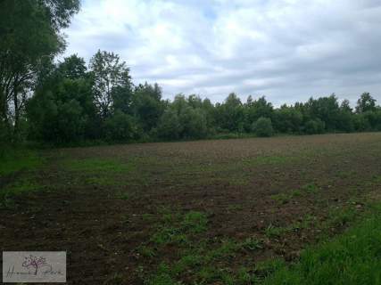 UZBROJONE DZIAŁKI POD PODDĘBICAMI nad rzeką NER