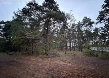 Marki, 1126 m2, MPZP wolnostojąca