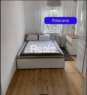 Ciche, wysokie w starej kamienicy.