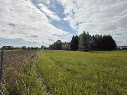 Sprzedaż działki-Nowe Gniewniewice