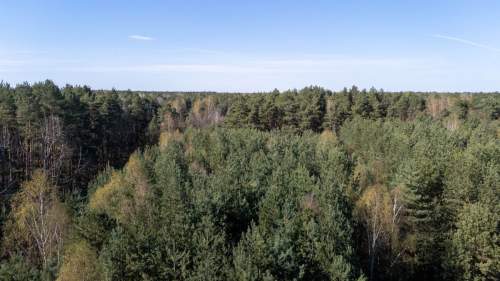 Działka rolno-leśna Zendek