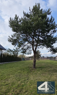 Działka pod domy 40 min od Warszawy