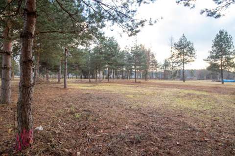 Działka budowlana Koszęcin 1099m2 ul. Słowików