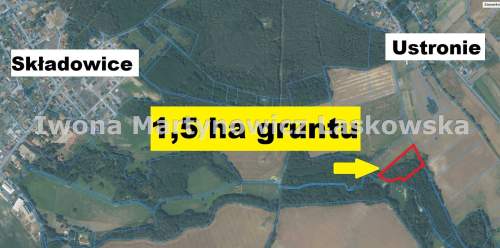 Grunt leśny - 1,5 ha - Ustronie k. Lubina