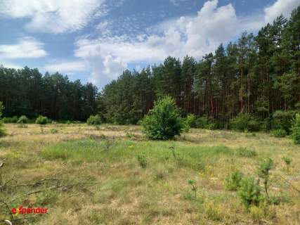 DZIAŁKA 4280 M2 W LESIE Z MOŻLIWOŚCIĄ W.Z OBOK LAS