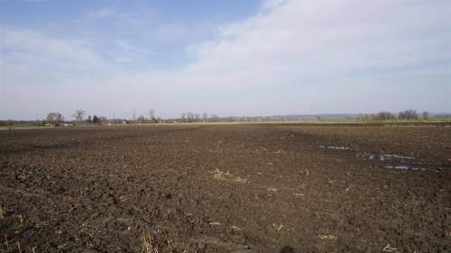 Działka - Węzina .