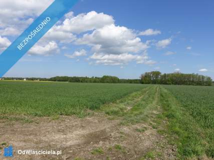 Skoczów Pruchna 1,15ha pod stadnine zabudowe lux lokalizacja