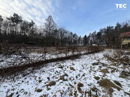 Dom marzeń Las Piękny widok