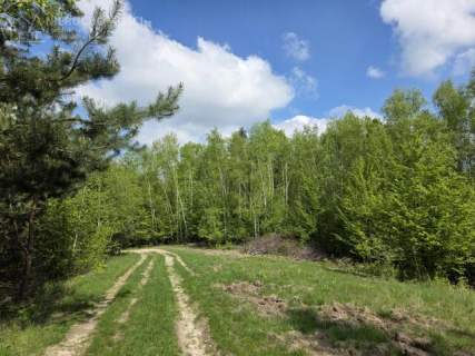 Drewniany dom na wzgórzu - wśród lasów i ciszy, 4,04 ha