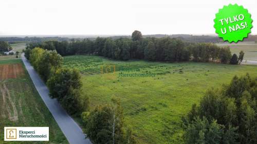 Ponad 3 hektary w jednym kawałku, RVI, 1416 zł/ ar