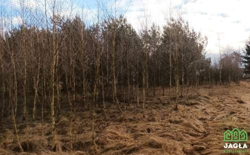 Jania Góra-siedlisko 1,16ha remont lub wyburzenie