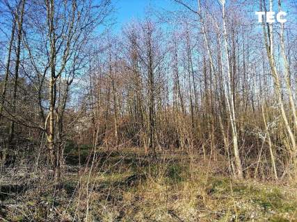 73 ar I Wrząsowice I zielona spokojna okolica