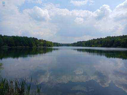 Klimatyczne siedlisko pod Łowiczem