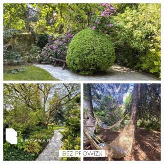 Dom po remoncie tuż przy ogrodzie Botanicznym