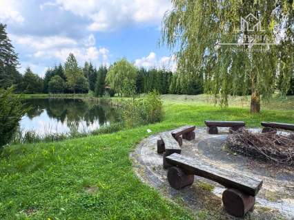 Rezydencja z prywatnym basenem i ogrodem Koźmin