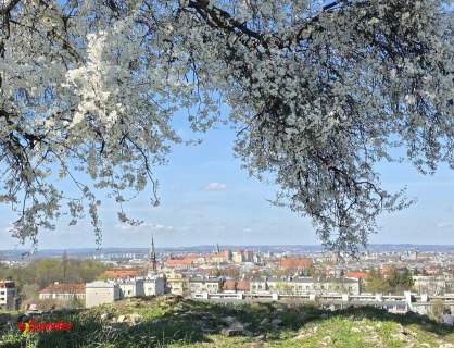 Kawalerka - Podgórze SKA MPK park, BRAND NEW, Razem 2300