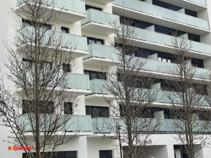 Komfortowa kawalerka z balkonem Winogrady 2026