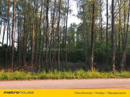 Książenice Działka leśna 4000m2 pod rezydencję