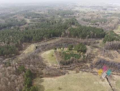 Działka rolna w otulinie lasu