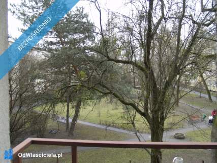 Urocze studio na Woli, z wydzieloną sypialnią, bardzo słoneczne...