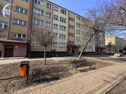 Mieszkanie w centrum
