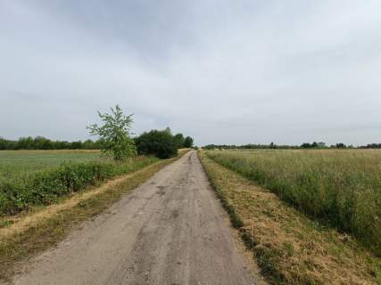 Sielskie widoki Spokojna Okolica Słoneczna