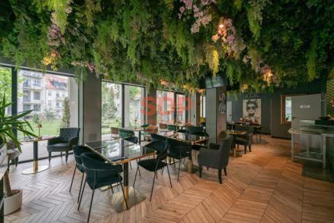Lokal gastronomiczny w centrum Wrocławia Plac Jana Pawała II...