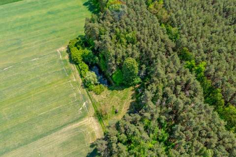 Budowlana 2300 m ze stawem i zielenią