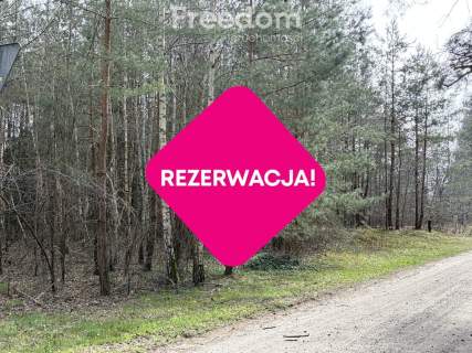 Na sprzedaż działki w Golubiu Dobrzyniu