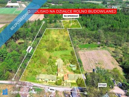 Siedlisko w Suchostrudze koło Tarczyna