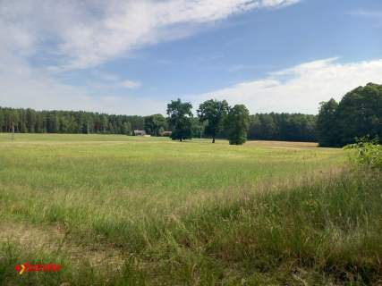 DZIAŁKA Z WARUNKAMI ZAB. 5,9108 HA ORAZ LAS