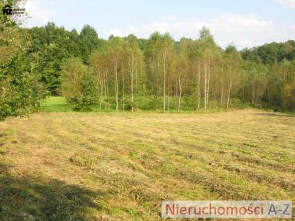 działka wśród zieleni i lasów