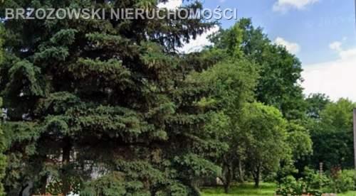 Białołęka, Nowodwory, 500 m2, MPZP, mieszkaniowa