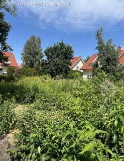 Miedzeszyn, Nadwiśle, 670 m2, WZ, wolnostojący