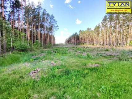 Grunt 4,85 ha, Zaręby Jartuzy, gmina Szumowo