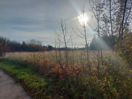 Działka budowlana na sprzedaż, 1195 m2, Wysoka