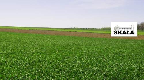 Wysocice/Gołcza. dz. bud-rol 1,94 ha 400 000 zł