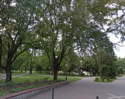 Pruszków centrum 552m2 PUM