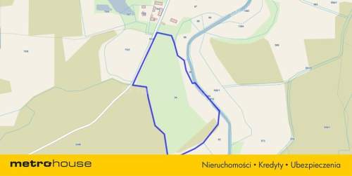 Działka siedliskowa z linią brzegową, przy lesie