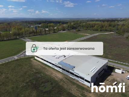 Hala pod usługi, przemysł Badeniego Igołomska