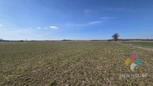15 ha działki rolnej w gminie Mikołajki