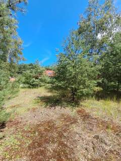 Działka budowlana o powierzchni 1686 m2, Prażuchy Nowe
