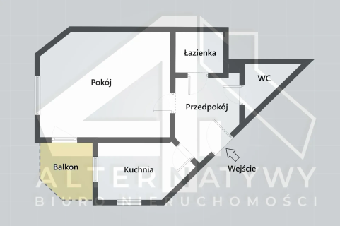 Super okazja, ciekawa duża kawalerka, umeblowana