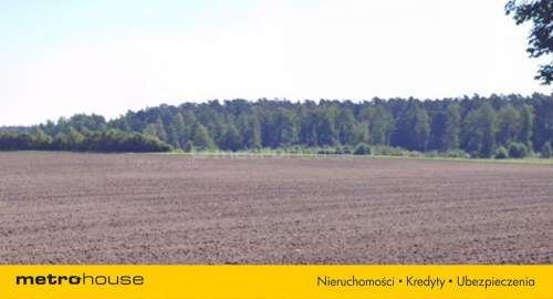 DZIAŁKA Z JEZIOREM NA DZIAŁCE W SKRZYNKACH,STĘSZEW