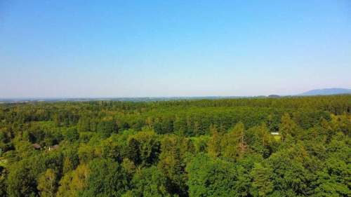 Działka budowlana w Górkach Wielkich