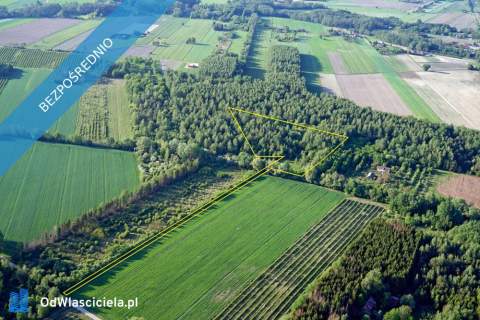 Działka 2.46 ha k. Mszczonowa z warunkami na bud. mieszkalny